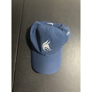 Nike Cap That Says davidson fox